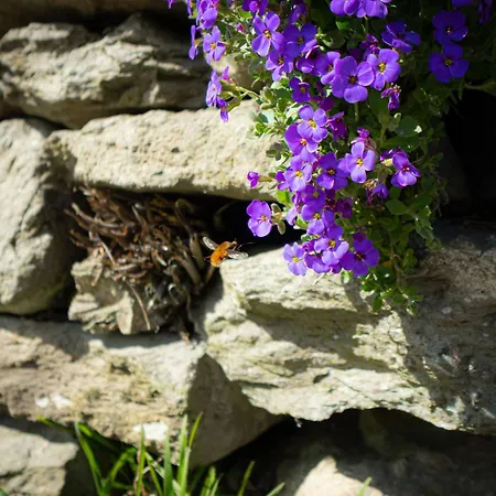 Semesterbostad Bessyboot