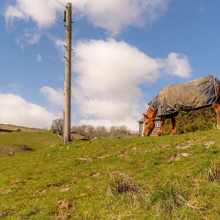 Semesterbostad Bessyboot *